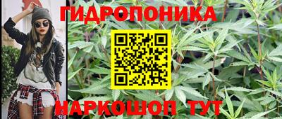 ешки Будённовск