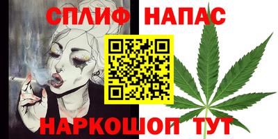 ешки Будённовск