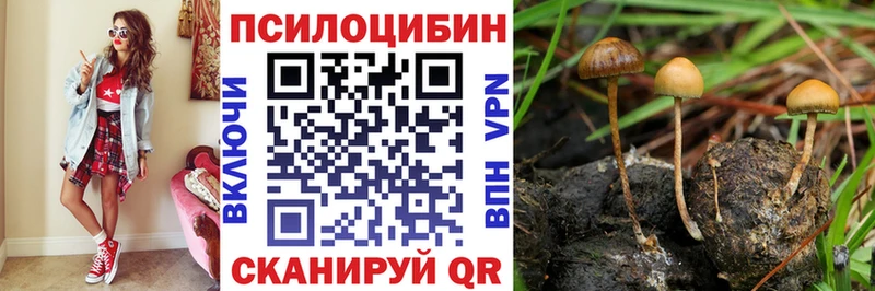 Псилоцибиновые грибы Cubensis  hydra   Бугуруслан 