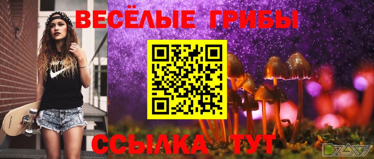 Галлюциногенные грибы Psilocybe Бугуруслан
