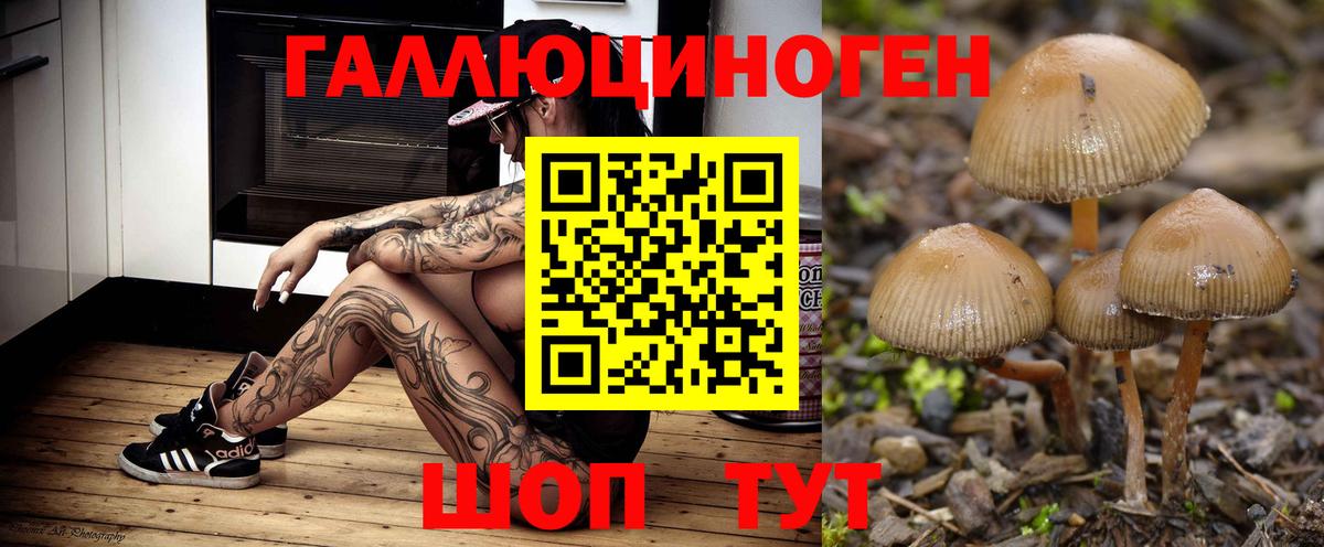 Бугуруслан  Псилоцибиновые грибы GOLDEN TEACHER  Вход с VPN 